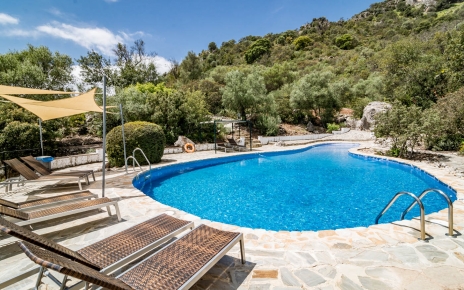 Tumbonas junto a la piscina